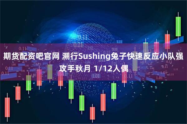 期货配资吧官网 溯行Sushing兔子快速反应小队强攻手秋月 1/12人偶