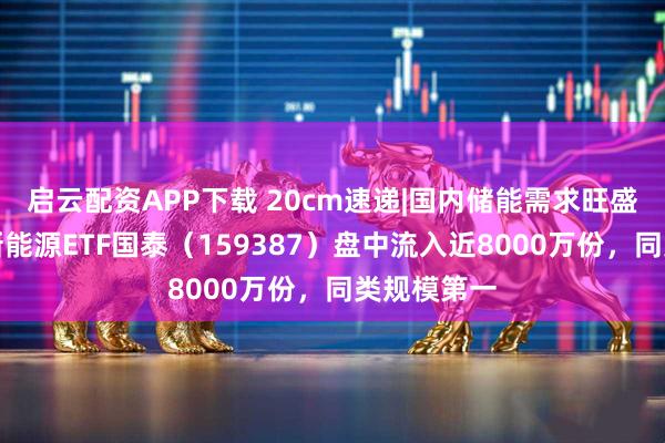 启云配资APP下载 20cm速递|国内储能需求旺盛，创业板新能源ETF国泰（159387）盘中流入近8000万份，同类规模第一