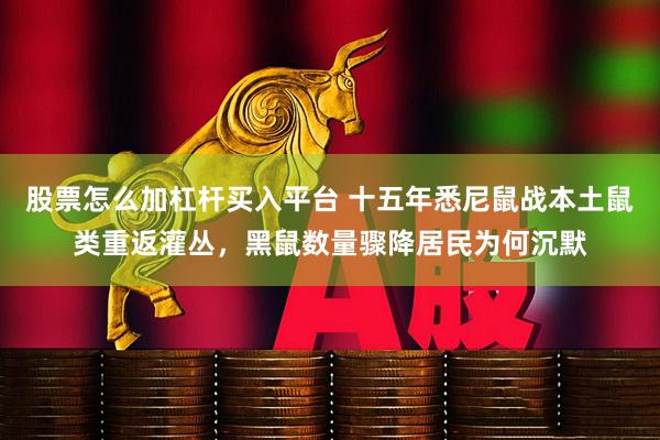 股票怎么加杠杆买入平台 十五年悉尼鼠战本土鼠类重返灌丛，黑鼠数量骤降居民为何沉默